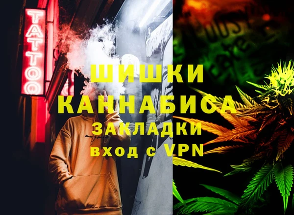 шишки Алексин