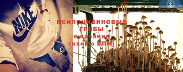 шишки Алексин