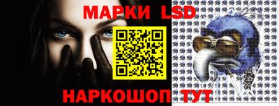 spice Добрянка