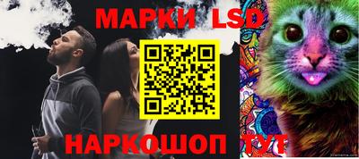spice Добрянка