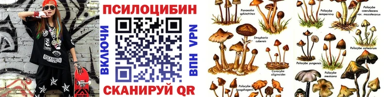 Галлюциногенные грибы GOLDEN TEACHER  Большой Камень 